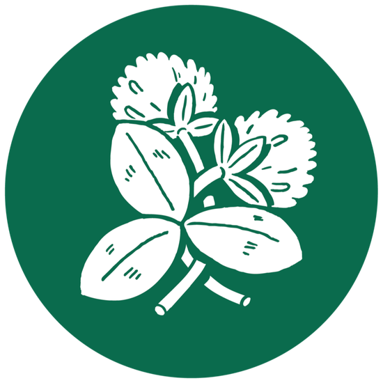 logo-image