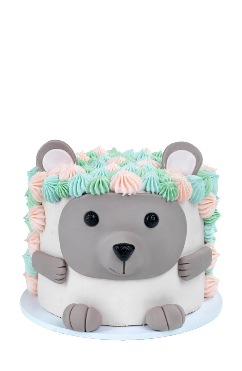 Cakes by Hancock - Hedgehog dyrehode