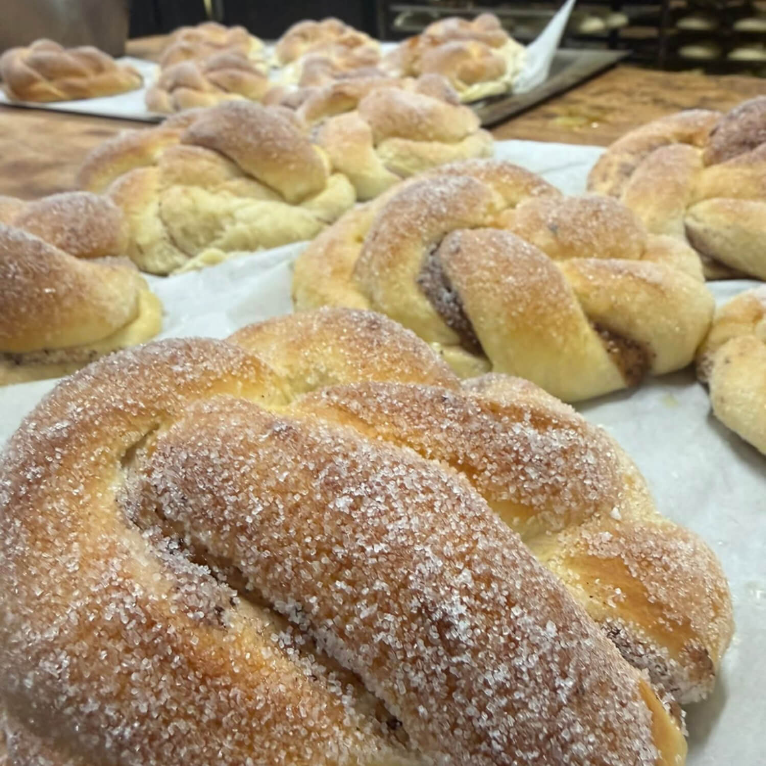 Motz & Kringla Bakeri - Kanelknute 