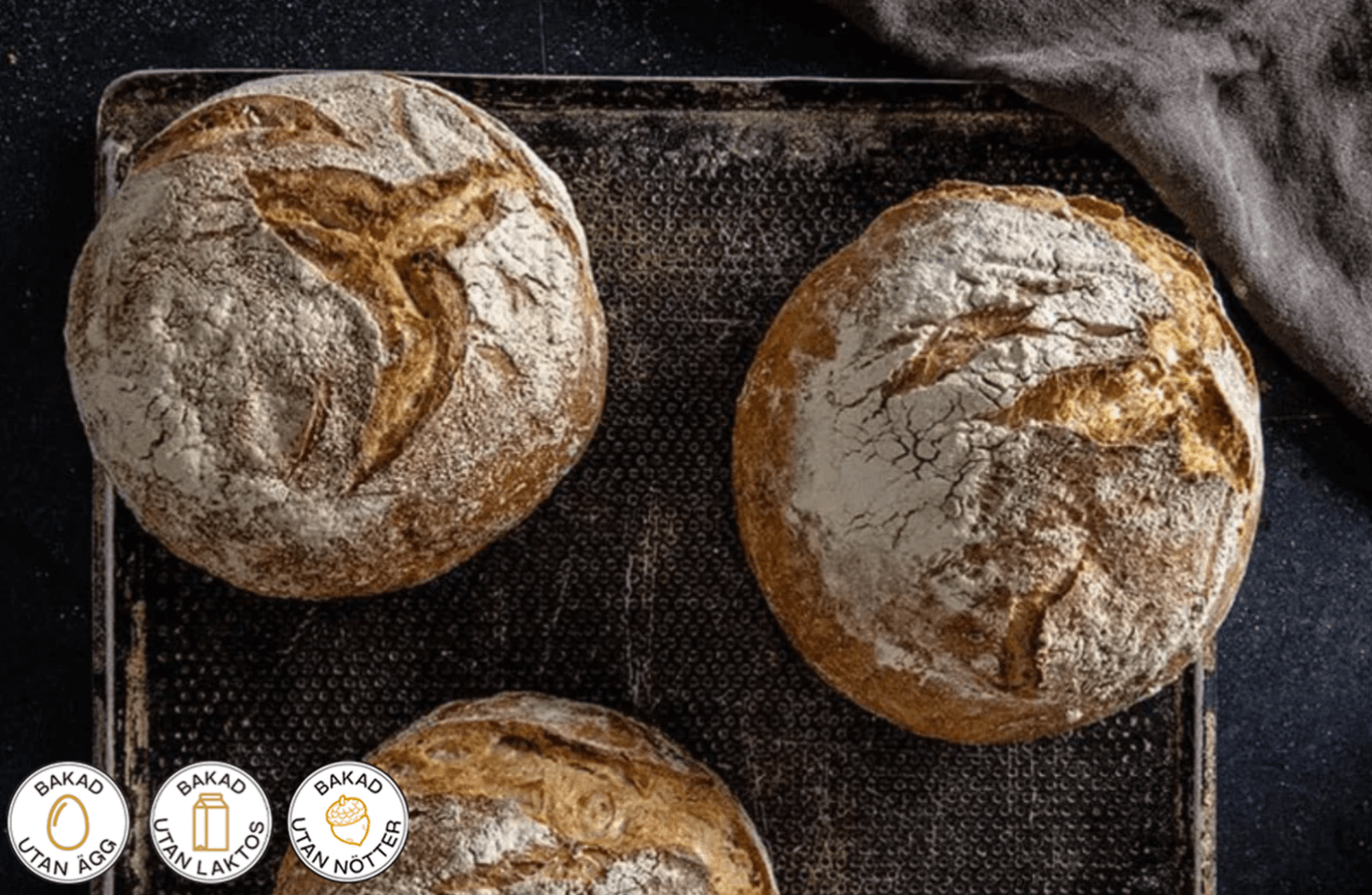 Brogyllen - Levain