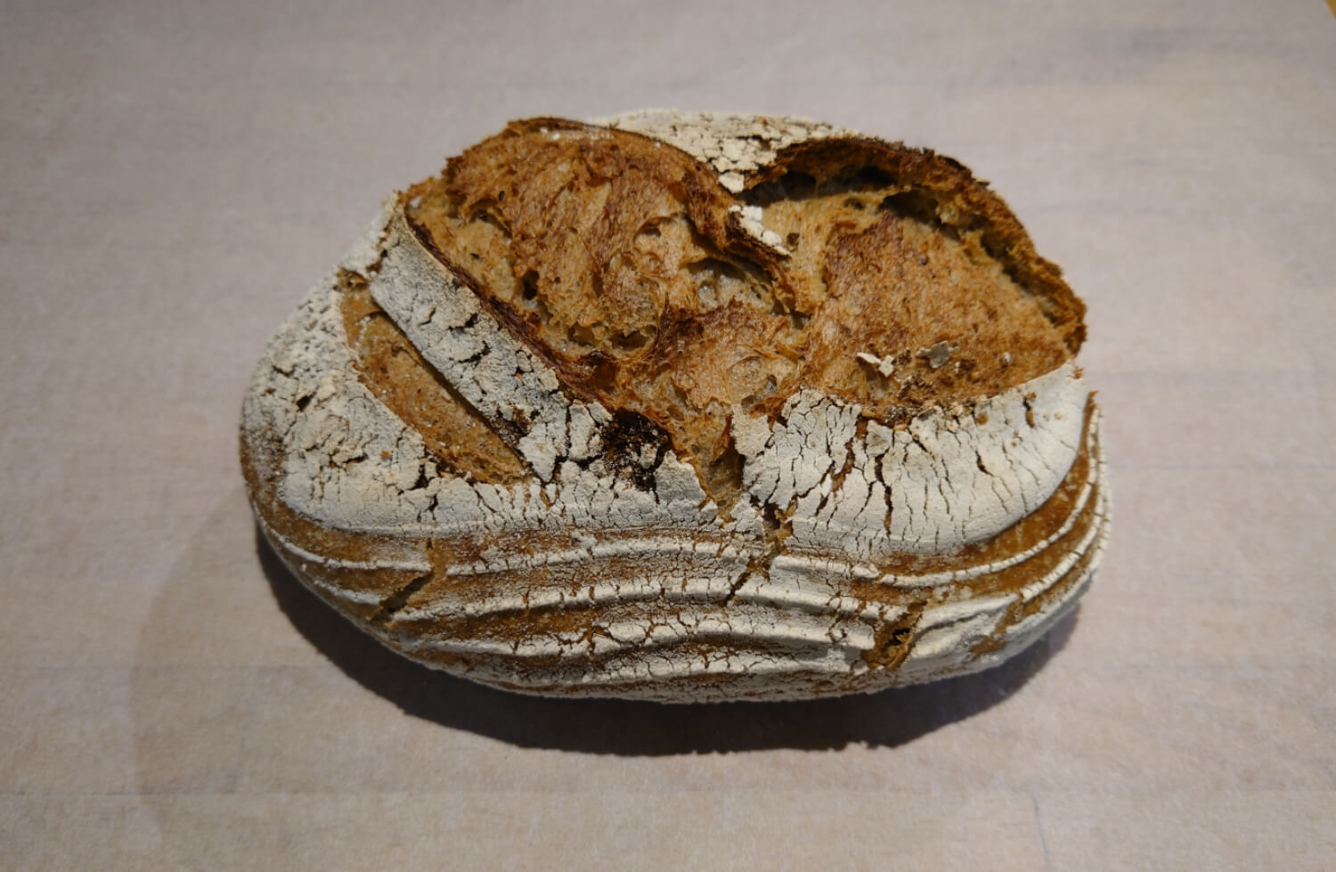 Brödkultur 2.0 - Veckans bröd