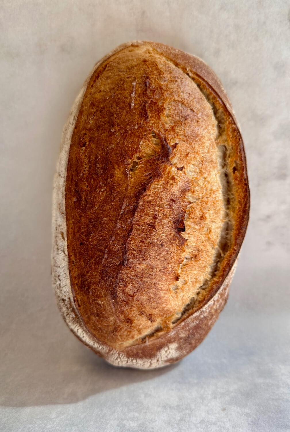 Kaffestugan i Böda - Honung & Salt