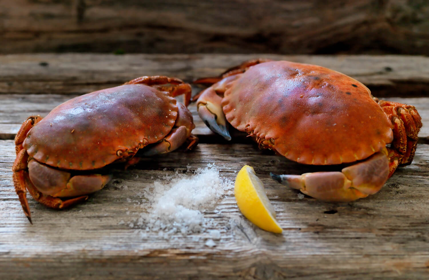Fjelberg - Krabber fra Fosen - bestillingssskjema