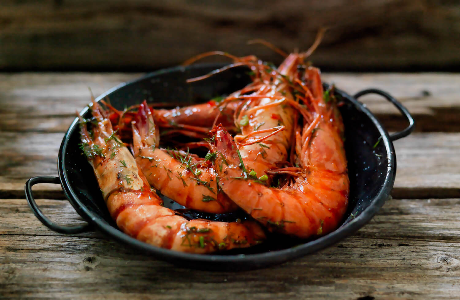 Fjelberg - Gambas