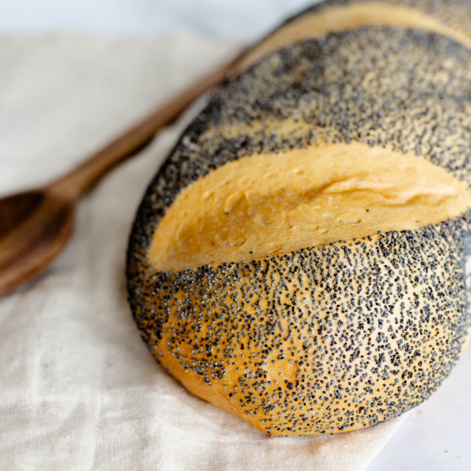 Solbrød - Frøloff