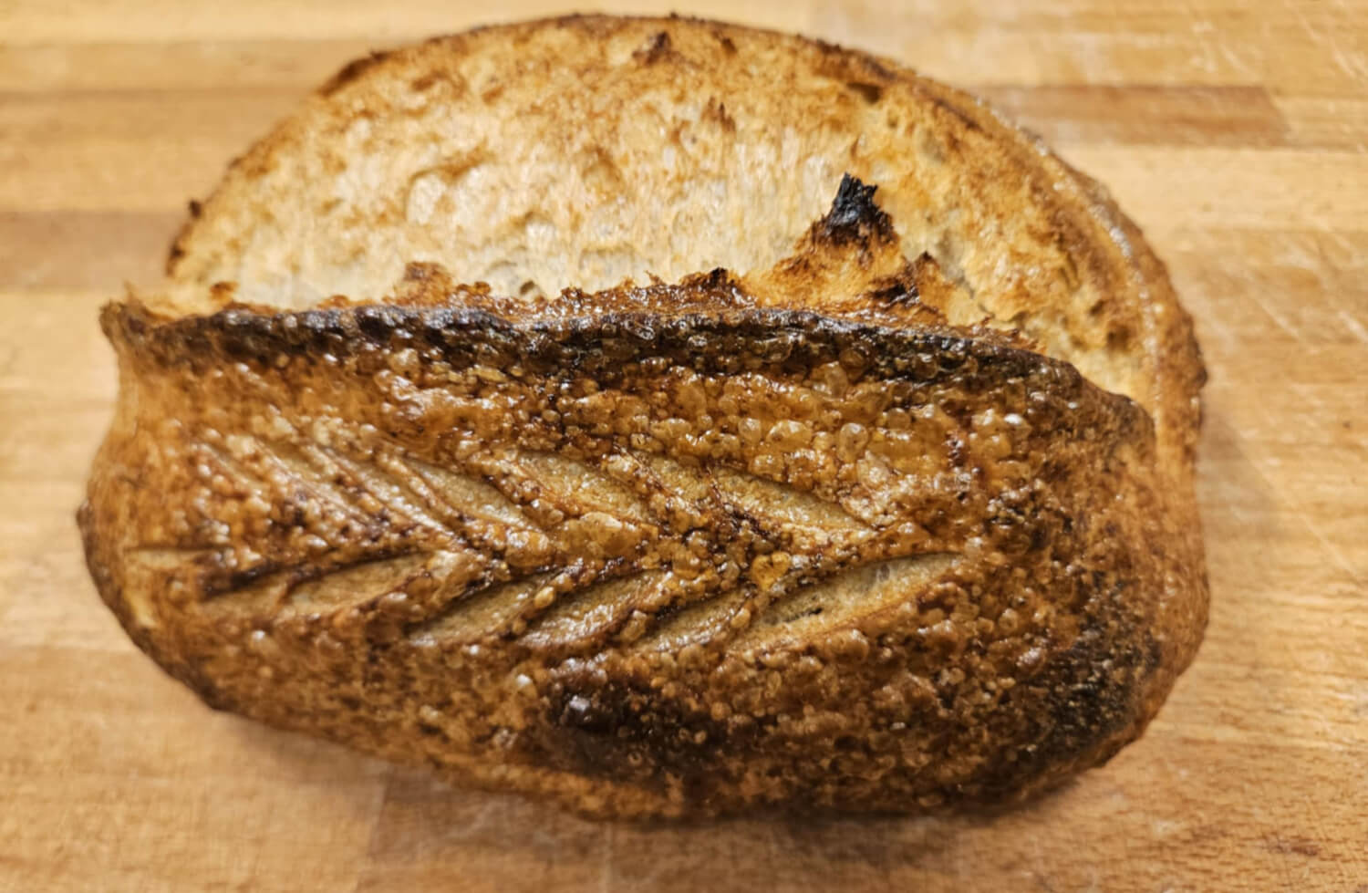Berbusmel - Lyst Speltbrød