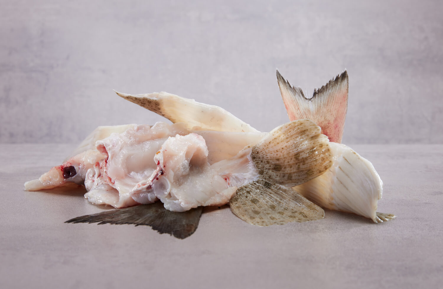 Brødrene Berggren - Kraftben av hvitfisk