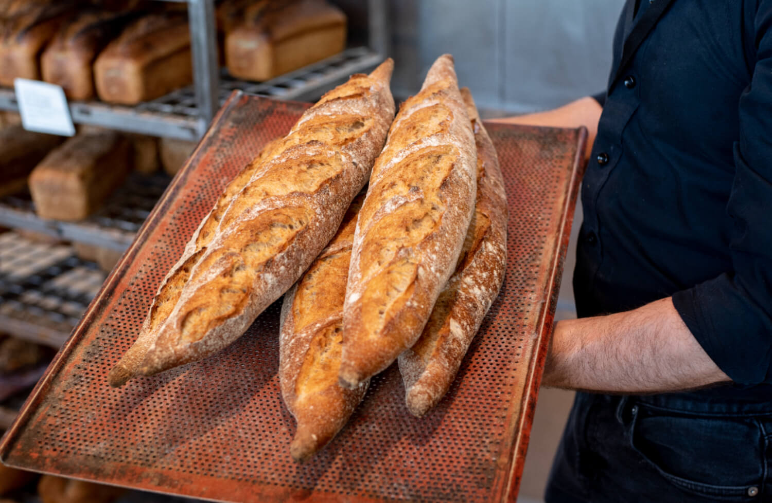 The Bakery - the Bakery - French baguette