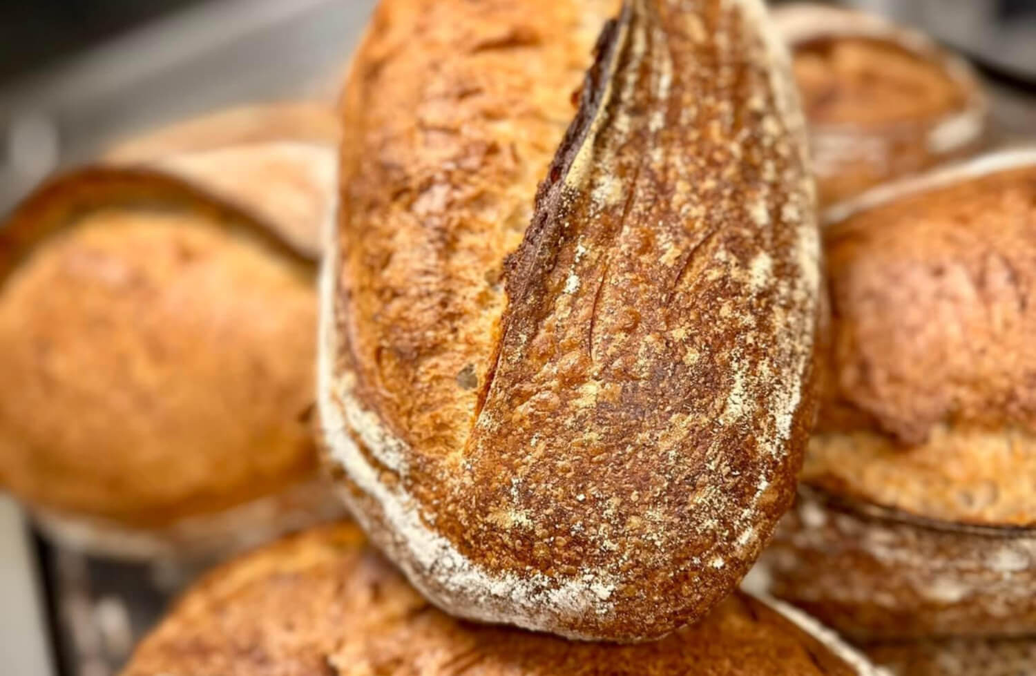 Baker Kristiansen - Surdeigsbrød 