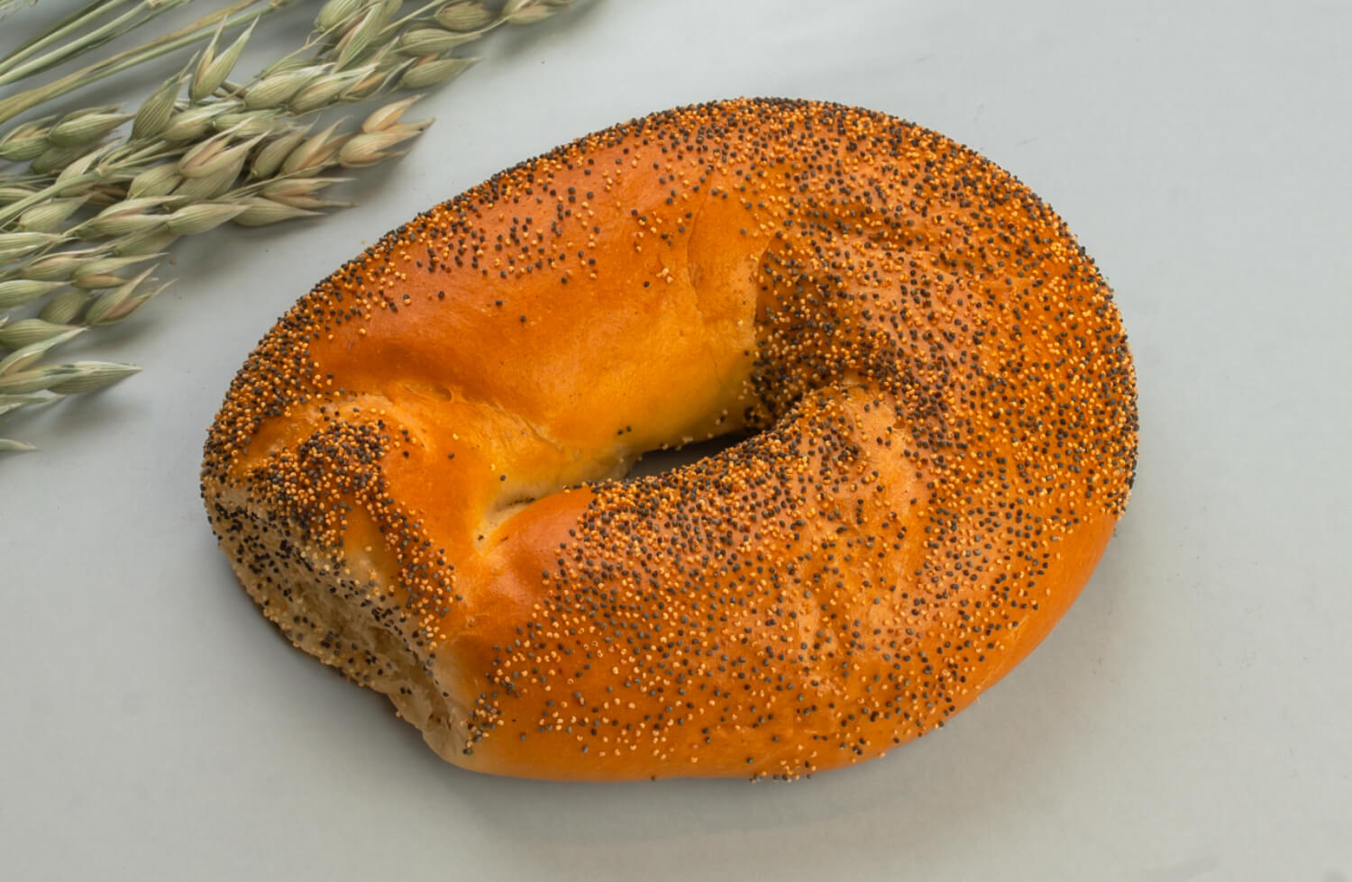 Baker Nordby - Horn
