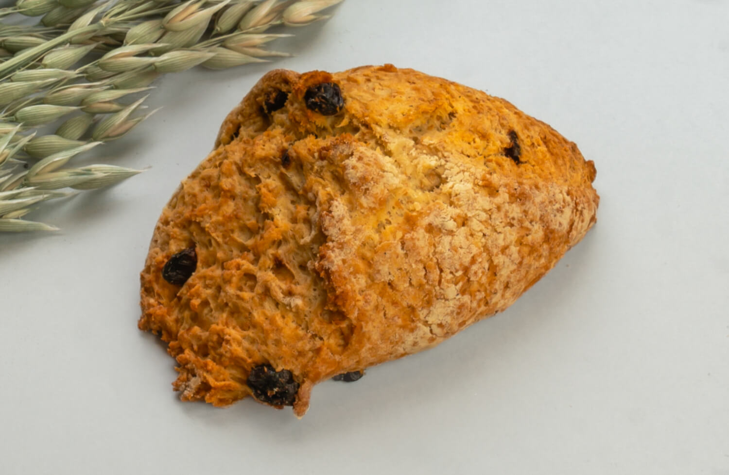 Baker Nordby - Scones