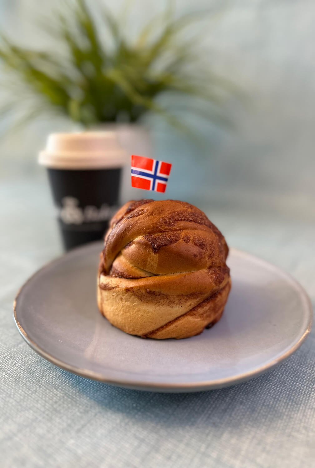 Bodø bakeri - Kanelknute