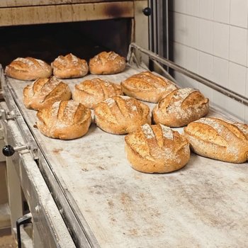 Sjöholms bageri - Surdegskurs 21/11, 12-17.30