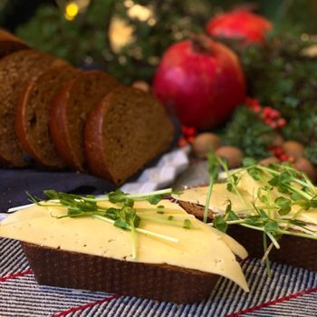 Brogyllen - Vörtbröd utan russin 