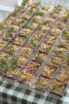 Wedemarks konditori och bageri - Frukost Catering