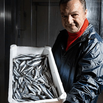 Fjelberg - Chips alle Alici, Armatore