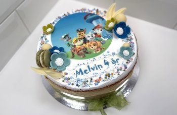 Tor Sevaldsen - Paw Patrol-kake