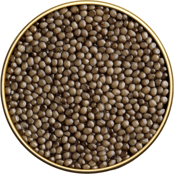Brødrene Berggren - Caviar,  Rossini Oscietra, 30g