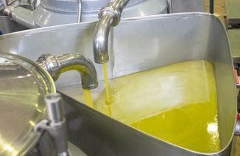 Maschmanns - Maschmanns olivenolje