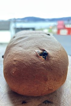 Bakeriet Mo i Rana - Julebrød