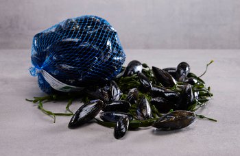 Brødrene Berggren - Blåskjell