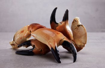 Brødrene Berggren - Krabbeklør