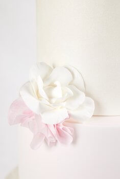 Cakes by Hancock - Anna