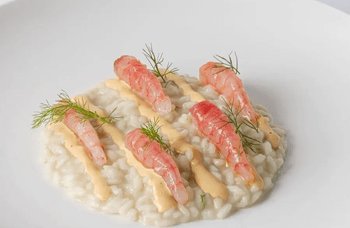 Brødrene Berggren - Risotto Aquarello 
