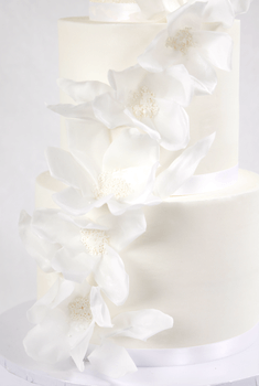 Cakes by Hancock - Karoline