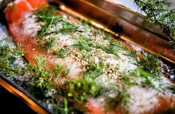 Fiskeriet - Gravet laks
