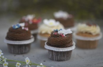 Vaaland Dampbakeri & Conditori - Cupcakes 17.mai